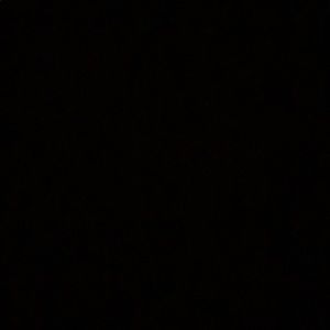 Meet your Posher, Dalia